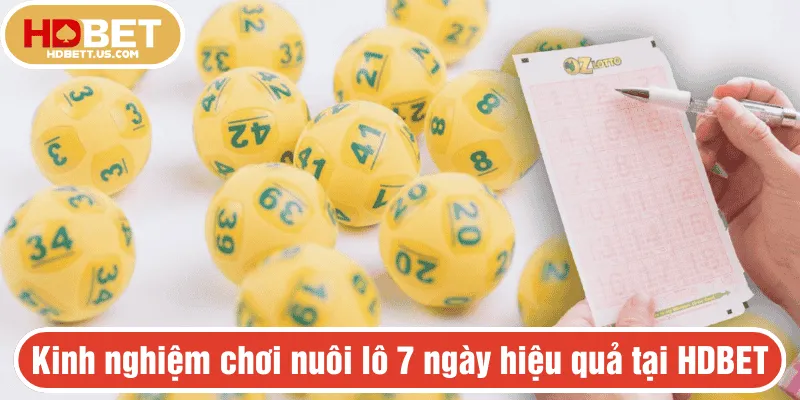 Kinh nghiệm chơi nuôi lô 7 ngày hiệu quả tại HDBET