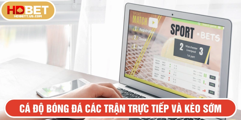 Cá cược bóng đá thu hút hàng ngàn lượt chơi mỗi ngày