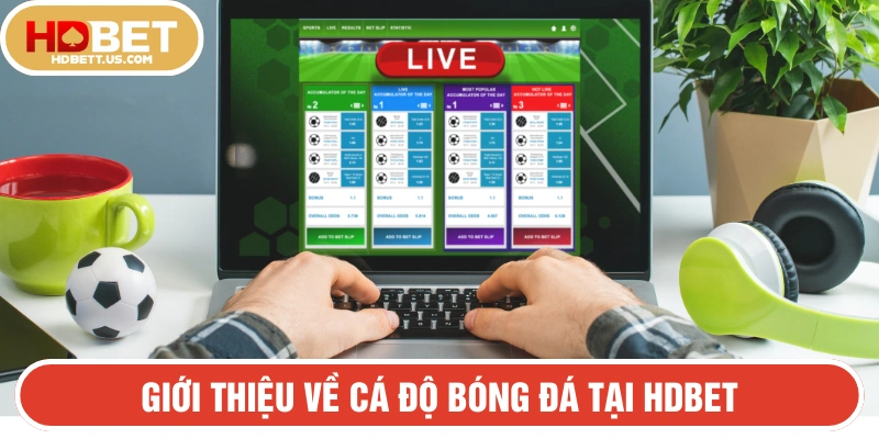 HDBET là nền tảng cá cược thể thao uy tín