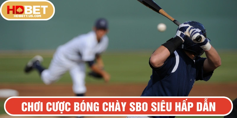 Chơi bóng chày ở nền tảng SBO HDBET không thể bỏ qua