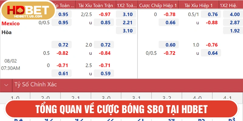 Tổng quan về cược bóng SBO
