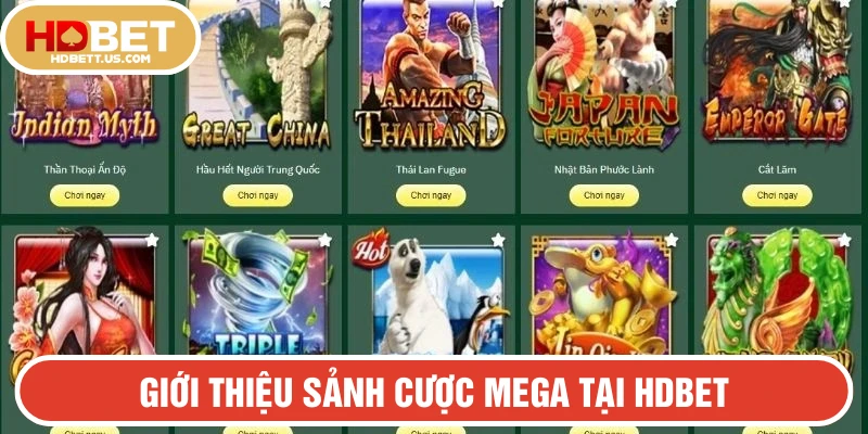 Sản phẩm tại Mega được thành viên HDBET yêu thích