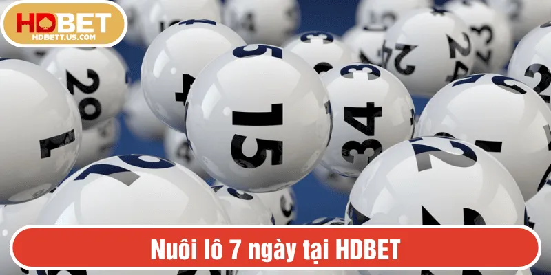 Nuôi lô 7 ngày tại HDBET
