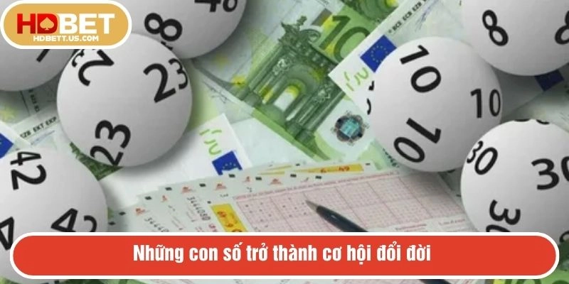 Khám phá các hình thức nổi bật của xổ số HDBET 