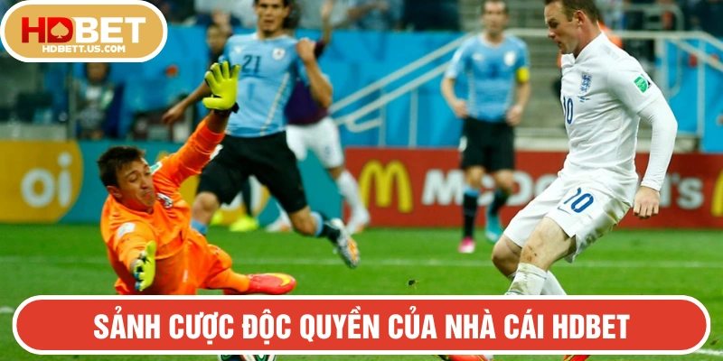 Sảnh cược độc quyền thu hút dân chơi chuyên nghiệp