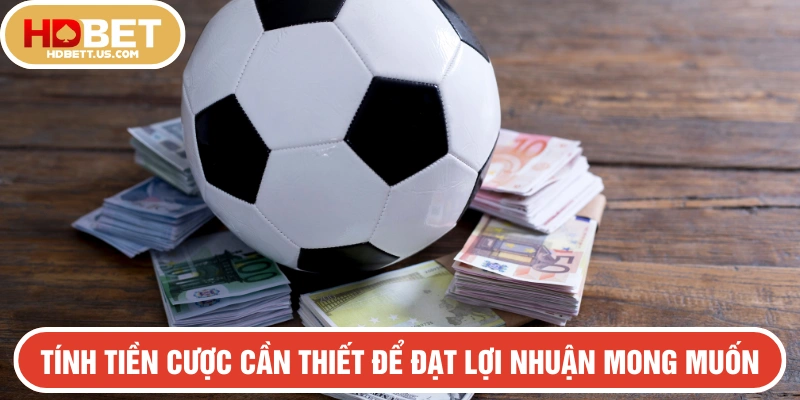 Tham khảo tính năng tính tiền cược theo lợi nhuận cần